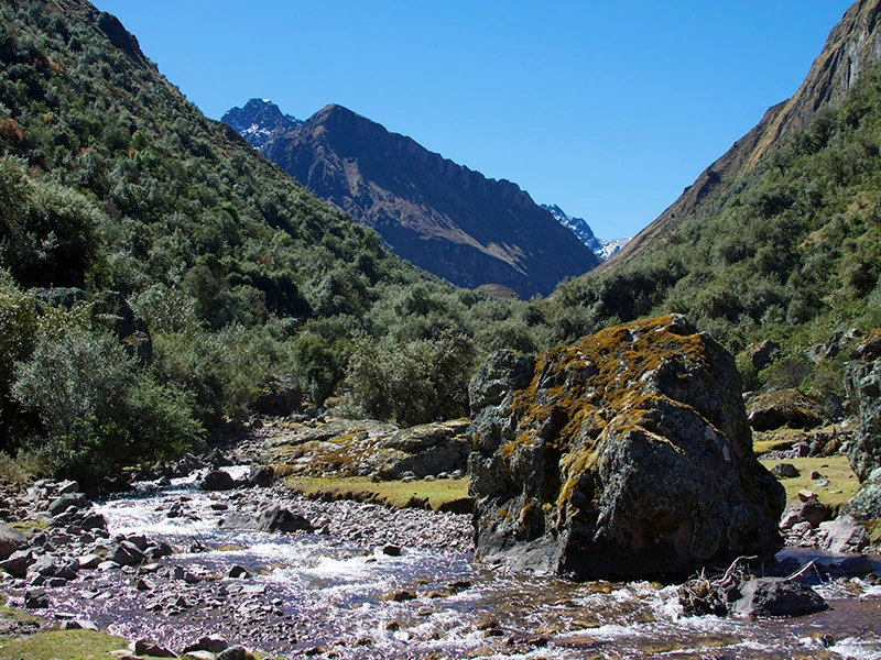 lares-1
